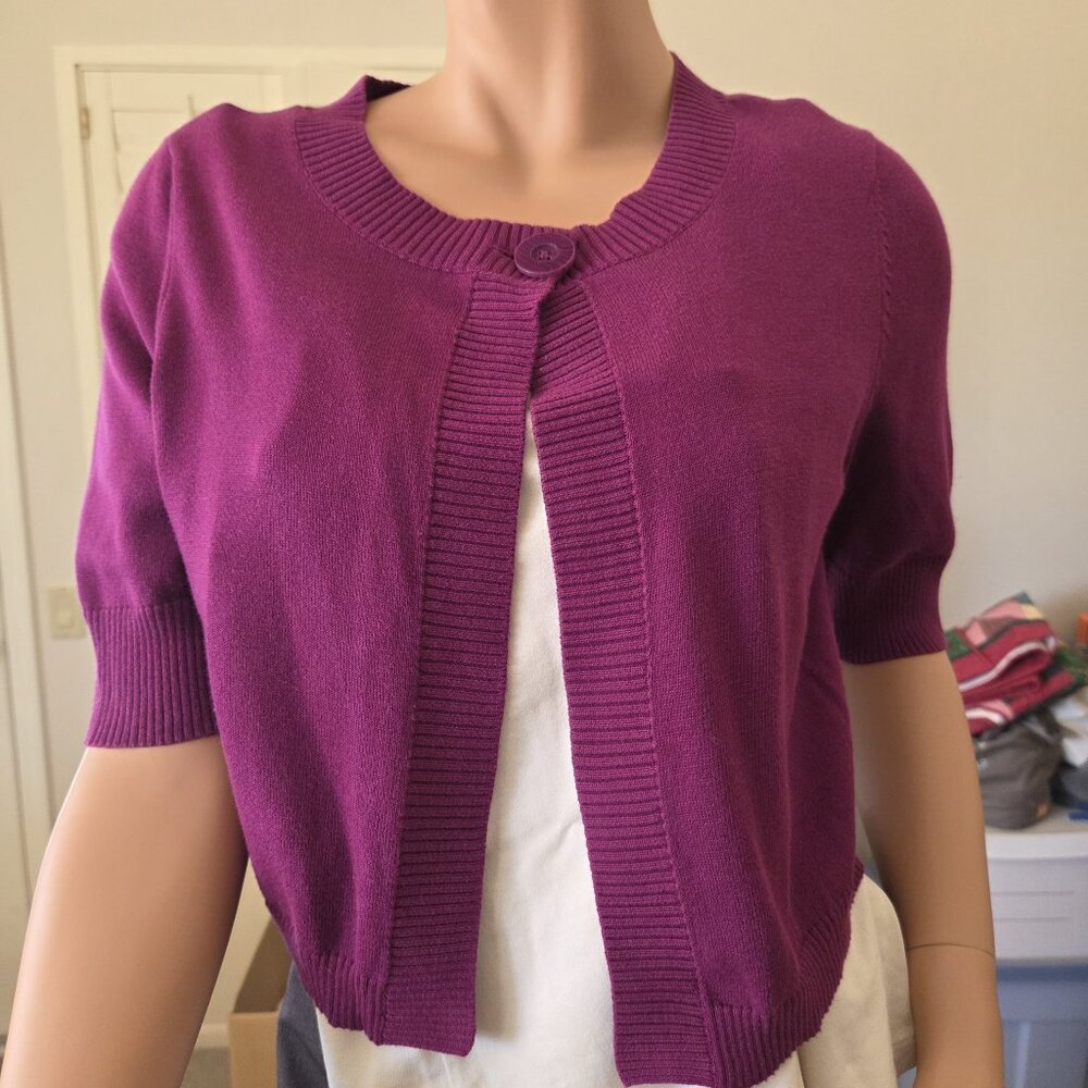 Magenta Ann Taylor Shrug